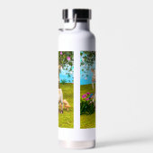 Bouteille D'eau Chèvre Heureuse (Plage)