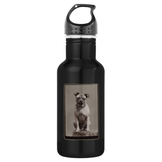 Bouteille D'eau Chien vintage (Devant)