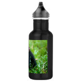 Bouteille D'eau Chimpanzé de bébé dans l'herbe (Droite)