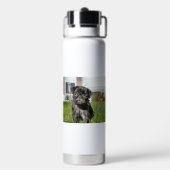 Bouteille D'eau Chiot de Carlin noir (Arrière)