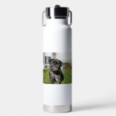 Bouteille D'eau Chiot de Carlin noir (Salle de sport)