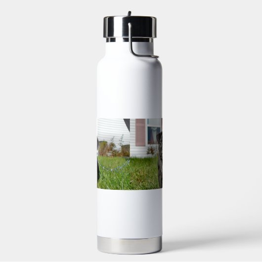 Bouteille D'eau Chiot de Carlin noir (Gym)