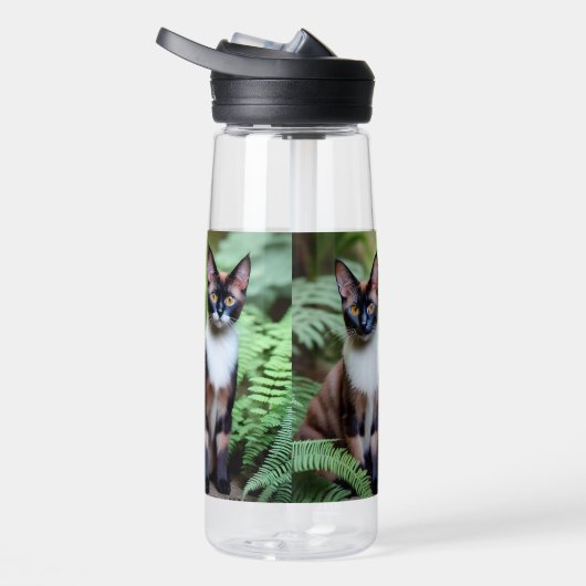 Bouteille D'eau Chocolat Siamese jumeaux, (Droite)