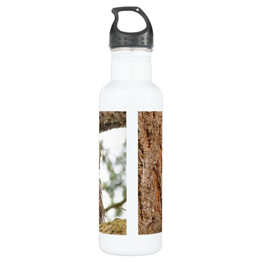 Bouteille D'eau Chouette à cornes dans le Douglas Fir (Dos)