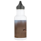 Bouteille D'eau Chouette à oreilles courtes en vol (Gauche)