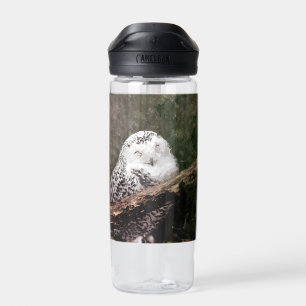Bouteille D'eau Chouette Harfang Couple Art Bois Faune
