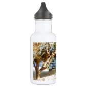 Bouteille D'eau Citation du rêve motivationnel Henry David Thoreau (Gauche)