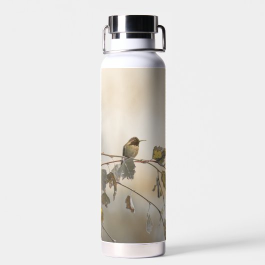 Bouteille D'eau Colibri 5265 (Arrière)
