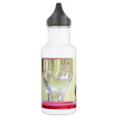 Bouteille D'eau Colibri à ventre cassé au Texas (Gauche)