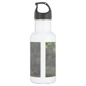 Bouteille D'eau Colibri sur la fleur de dentelle de la reine Ann (Dos)