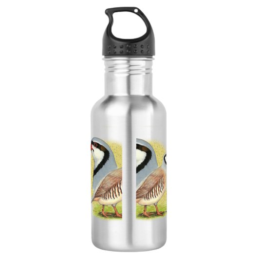 Bouteille D'eau Combo de perdrix de Chukar (Dos)
