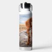 BOUTEILLE D'EAU CONCEVEZ VOTRE PROPRE (Salle de sport)