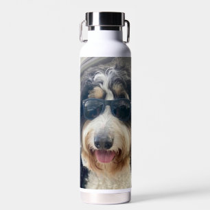 Bouteille D'eau "Cool Dood ! bernedoodé dans les lunettes de solei
