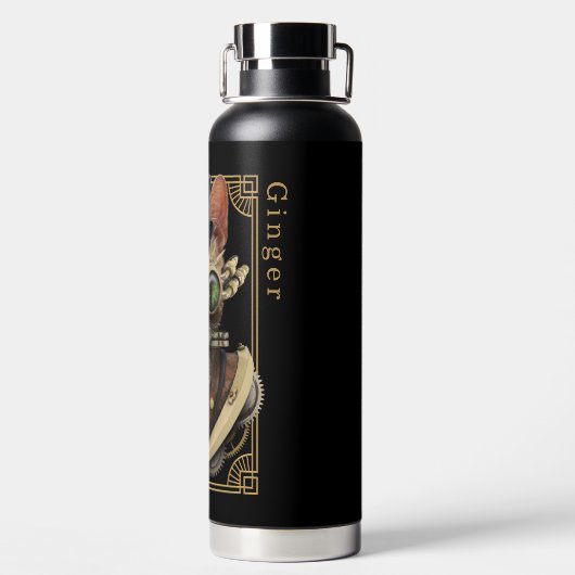 Bouteille D'eau Cool Steampunk Orange Tabby Chat avec nom (Plage)