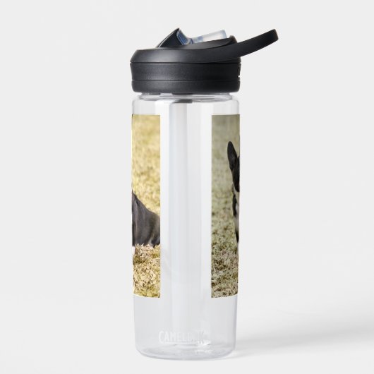 Bouteille D'eau Corgi (Gauche)