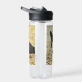 Bouteille D'eau Corgi (Droite)