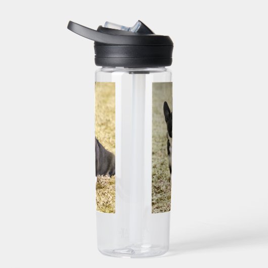 Bouteille D'eau Corgi (Droite)