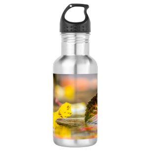Bouteille D'eau Couleurs d'automne