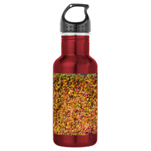 Bouteille D'eau Couleurs d'automne dorées sur un mur de lierre