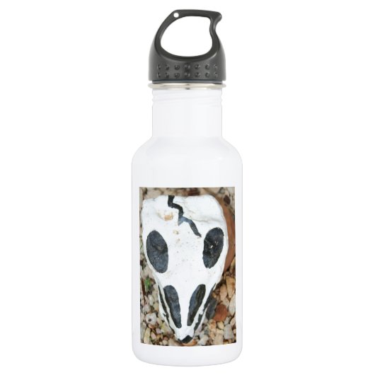 Bouteille D'eau crâne peint (Devant)