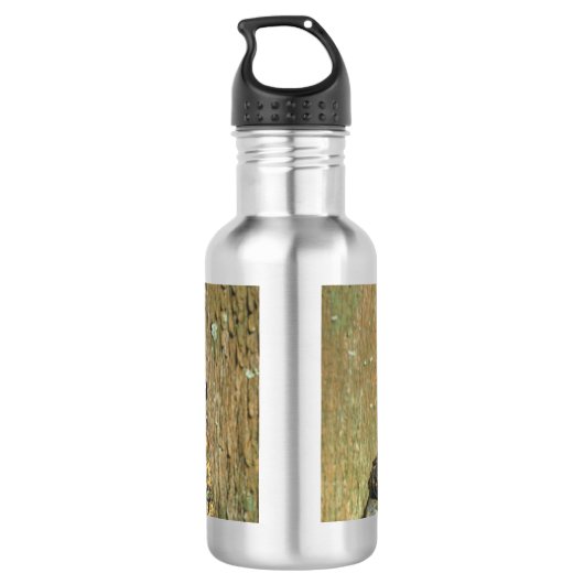 Bouteille D'eau Crapaud impressionnant de Toadly (Dos)