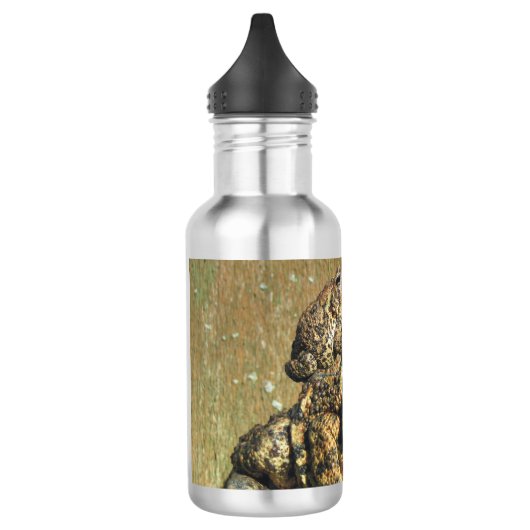 Bouteille D'eau Crapaud impressionnant de Toadly (Gauche)