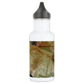 Bouteille D'eau Crapaud minuscule (Gauche)