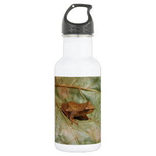 Bouteille D'eau Crapaud minuscule