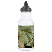 Bouteille D'eau Crapaud minuscule (Droite)
