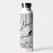 Bouteille D'eau Crow dans un Birch Tree (Gauche)