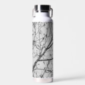 Bouteille D'eau Crow dans un Birch Tree (Avant)