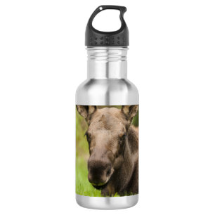Bouteille D'eau Curieux orignal