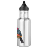 Bouteille D'eau Curl crested aracari bird cartoon (Droite)