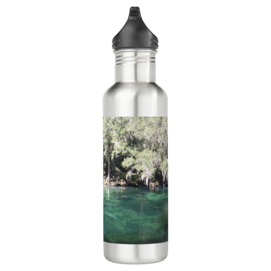 Bouteille D'eau Cute Manatees Natation Floride (Droite)