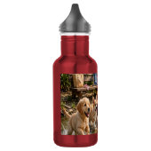 Bouteille D'eau Cute Puppies & Kittens Riverside Adventure  (Gauche)
