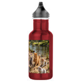 Bouteille D'eau Cute Puppies & Kittens Riverside Adventure  (Droite)