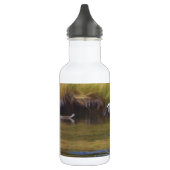 Bouteille D'eau Cygne de trompettiste (Gauche)