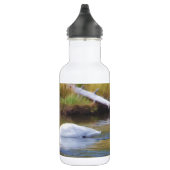 Bouteille D'eau Cygne de trompettiste (Droite)