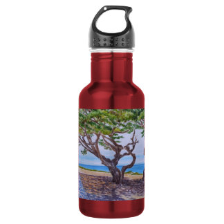 Bouteille D'eau Cyprès à Pacific Grove