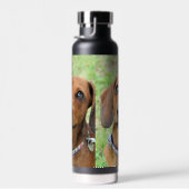 Bouteille D'eau Dachshund (Plage)