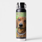 Bouteille D'eau Dachshund (Arrière)