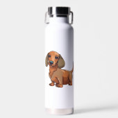 Bouteille D'eau Dachshund Chien mignonne (Avant)
