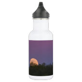 Bouteille d'eau d'aigle rose (Droite)