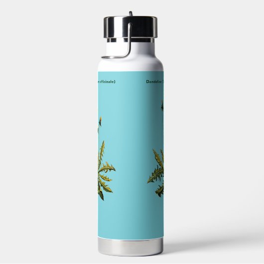 Bouteille D'eau Dandelion (Évier)