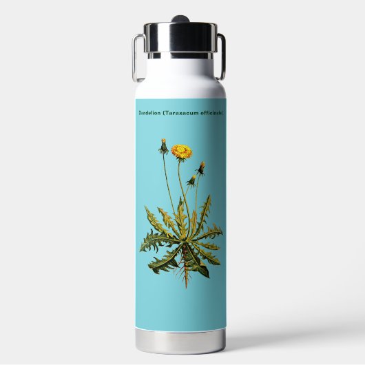 Bouteille D'eau Dandelion (Salle de sport)