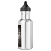 Bouteille d'eau d'ange (18 onces), acier (Droite)