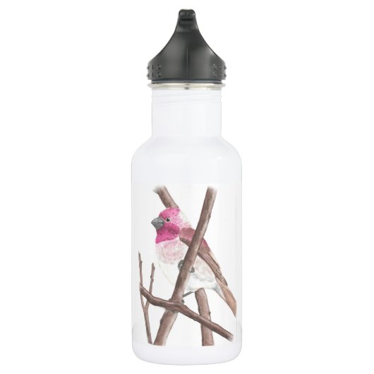 Bouteille d'eau d'aquarelle de pinson pourpre (Droite)