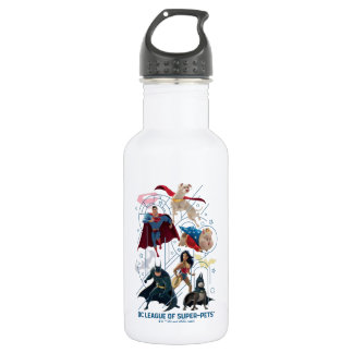 Bouteille D'eau DC Trinity Heroes & Super-Pets
