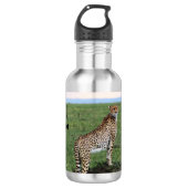 Bouteille d'eau de Cheetah (Devant)