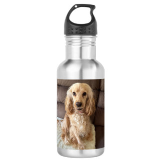 Bouteille d'eau de Chien Chien Chien Goofy